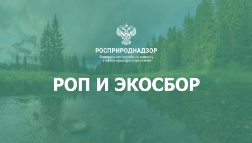 Представление отчетности и уплаты экологического сбора в рамках расширенной ответственности производителей и импортеров